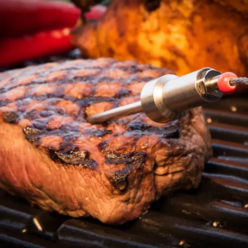 HerQs sond – Extra temperaturgivare för grilltermometer